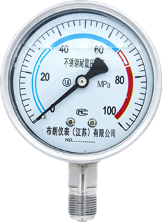 不锈钢耐震压力表.png